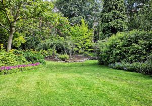 Optimiser l'expérience du jardin à Raville-sur-Sanon